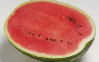 Топ Ган F1 / Top Gun F1