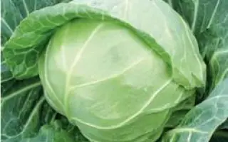 Миррор F1 / Mirror F1