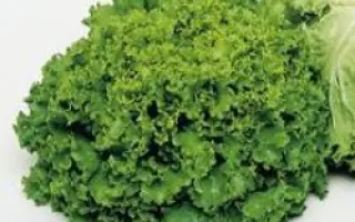 Фанли F1 / Funly F1