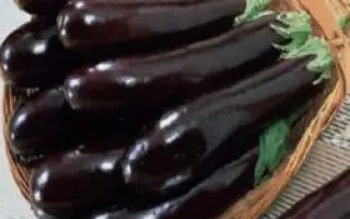 Миледа F1 / Mileda F1