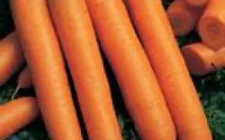 Нандрин F1 / Nandrin F1