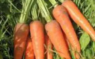  Каскад F1 / Cascade F1