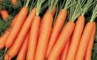 Нарбонне F1 / Narbonne F1