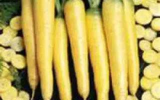 Еллоустоун