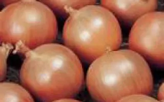 Алонсо F1 (BGS 234)