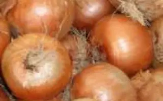 Фестиваль F1