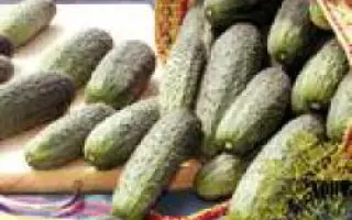 Атлантис F1 / Atlantis F1