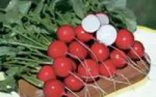 Рудольф / Rudolf