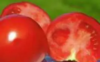 Полбиг F1 / Polbig F1