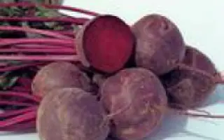 Боро F1 / Boro F1