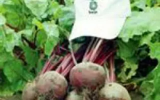 Ред Клауд F1