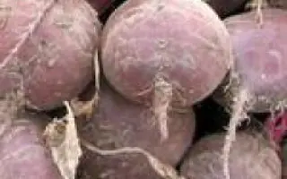 Бикорес / Bikores