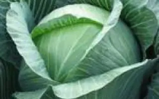 Харрикейн F1 / Hurricane F1