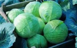 Леннокс F1 / Lennox F1