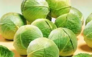  Амтрак F1 / Amtrak F1