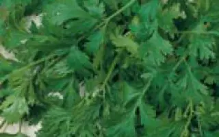 Карибе / Caribe