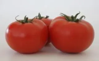 Белле F1 / Belle F1