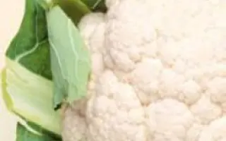 Новария F1 / Novaria F1