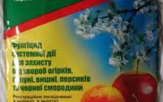 Топсин М