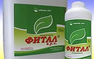 Фитал