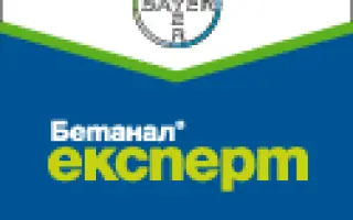 Бетанал Эксперт