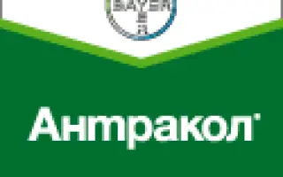 Антракол 70 WP