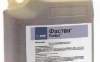 Фастак / Fastac