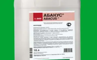Абакус