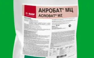 Акробат МЦ