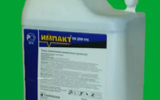 Импакт 25 SC