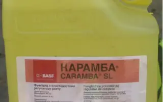 Карамба