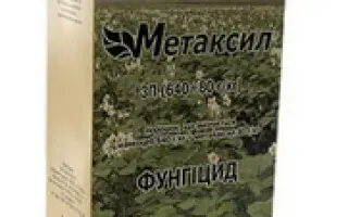Метаксил