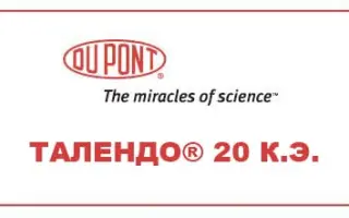 Талендо 20