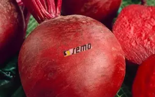 КРАСНАЯ КУЛАТА / CERVENA KULATA