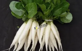 РАМПОУЧ / RAMPOUCH