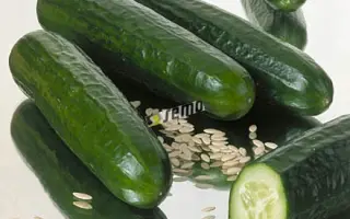 МИНИСПРИНТ F1 / MINISPRINT F1