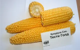 Тести Голд F1 / Testi Gold F1