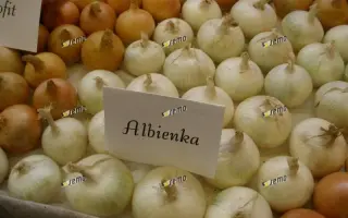 АЛБЕНКА / ALBIENKA