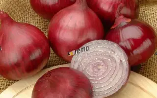 КАРМЕН / KARMEN