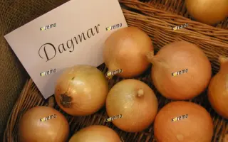 ДАГМАР / DAGMAR
