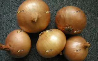 АВГУСТА / AUGUSTA