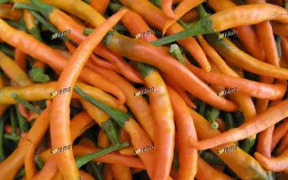 КИЛИАН / KILIAN