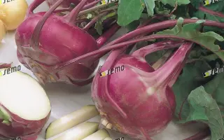 БЛАНКИТ / BLANKYT