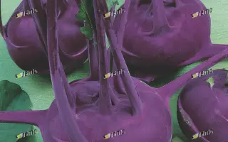 МОДРАВА F1 / MODRAVA F1