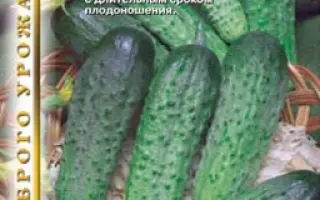 ИЗЫД F1 / IZYD F1