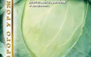 КАМЕННАЯ ГОЛОВА / KAMIENNA GLOVA