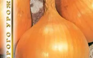 ЧЕРНЯКОВСКИЙ