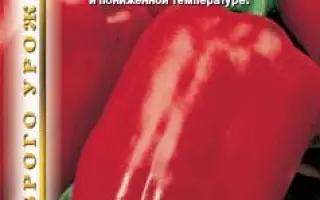 ТРАПЕЗ
