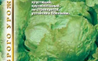 ГРЕНАДА ОЖАРОВСКА