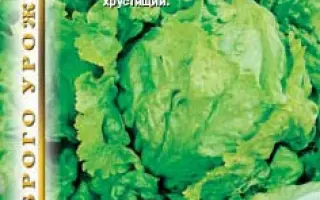 КРУЛЕВА ЛЯТА (КОРОЛЕВА ЛЕТА)